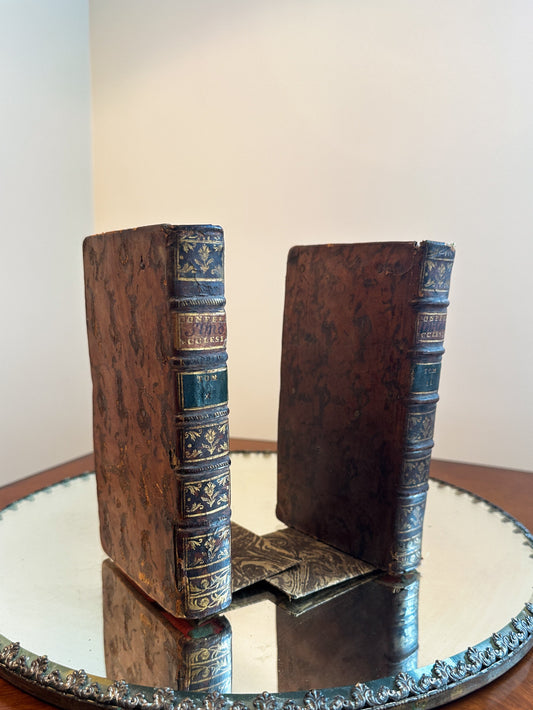 Antique French Book Bookends